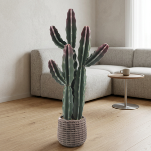 Plantes artificielles en pot de cactus résistantes aux intempéries, fourniture directe d'usine fiable, pour la <span class=keywords><strong>décoration</strong></span> intérieure et de <span class=keywords><strong>balcon</strong></span> - Product Image 2