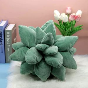 Custom Succulent Shaped Plush Toys Universal for Boys and Girls Cactus Kawaii Decorative <b>Leaf</b> Pillow Lovely Plant - Product Image 5