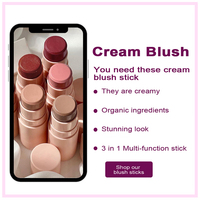 Offre Spéciale : Palette de Fard à Joues Étanche Maquillage Rose, Poudre et Crème, avec Surligneur. Personnalisez Votre Propre Logo, Marque Privée, Bâton de Fard à Joues