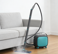 Nettoyeur Vapeur Électrique Haute Pression Robuste 2026 pour Sols, Voitures, Carrelages et Hôtels - 1500W 220V