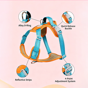Cat vest type traction rope chest strap for going out Summer walking cat rope anti-relief cat chain supplies - Product Image 6