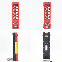 Control Remoto Inalámbrico Industrial de 10 Botones, de Una Sola Velocidad, Impermeable IP66, Anti-interferencias, con Bloqueo, Modelos AB y A+B