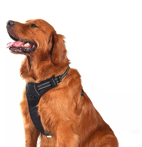 Arnés Ajustable para Perro de Fábrica Bsci, Chaleco Reflectante Antitirones con Asa, Correas Reforzadas de Alta Visibilidad, Control Fácil, Nailon - Product Image 4