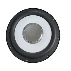 8 "Ondiepe 2*2 Ohm Subwoofer Voor Auto Component Systeem