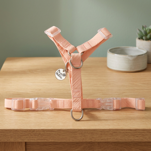 M Personalized Luxury Waterproof Pink <b>Dog</b> Harness Y Shaped with Fashionable Simple Style Breathable Reflective <b>Lights</b> PVC Coated - Product Image 2