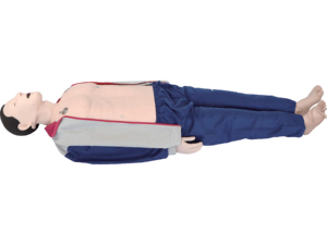 Simulatore di Addestramento per Auscultazione Cardiopolmonare, Palpazione, Battito Cardiaco, Respiro, Murmuri e Esame Toracico del Paziente Standardizzato - Product Image 2