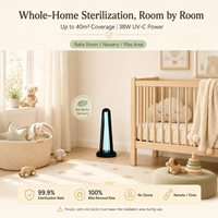 Lampe de désinfection UVC sans ozone 38W, fabrication professionnelle OEM ODM, avec logo personnalisé et démarrage retardé de 30 secondes pour les propriétaires de marques mondiales