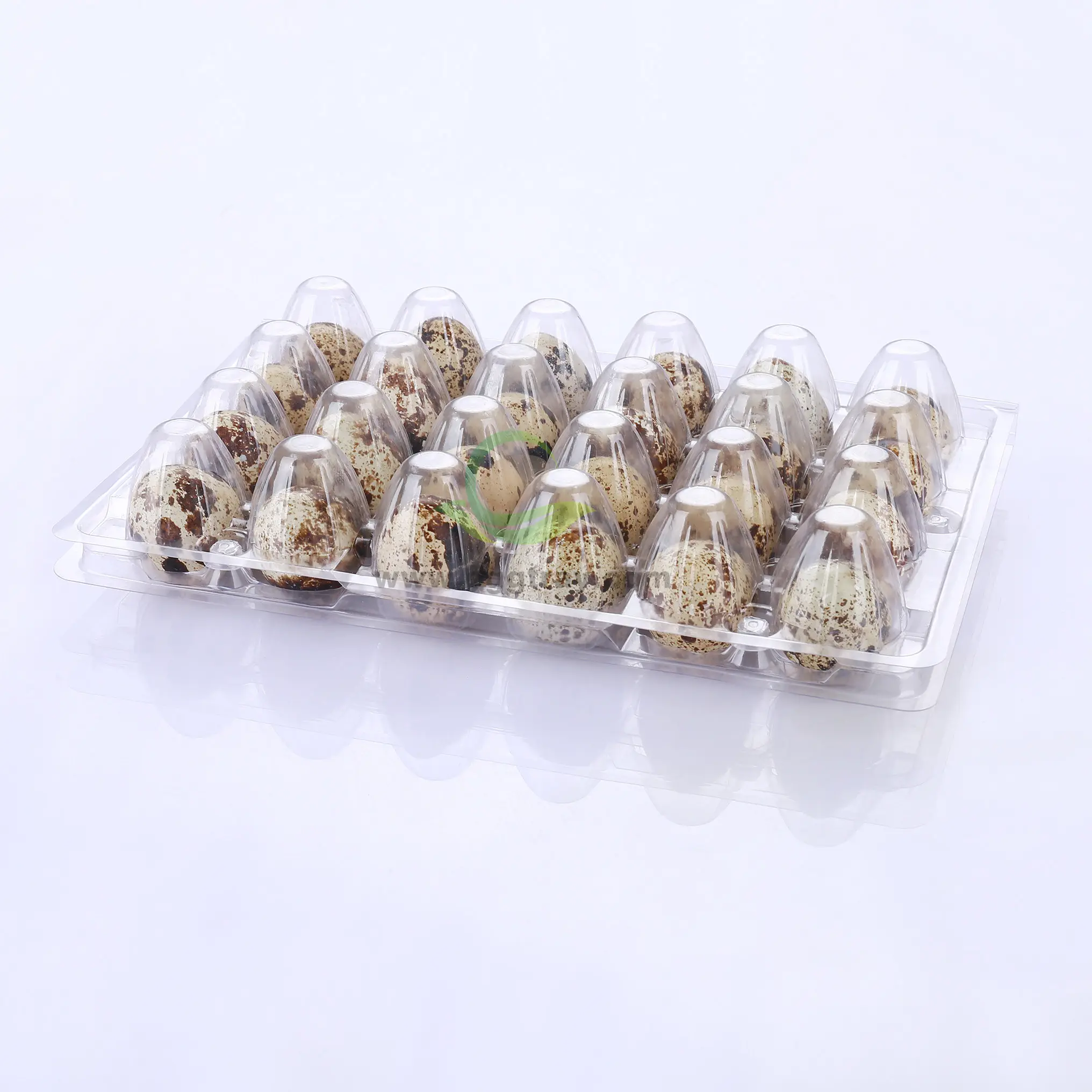 Disposable 24 Holes Quail Egg Carton Packing Tray Suppliers Transparent Plastic Blister Trays For Eggs