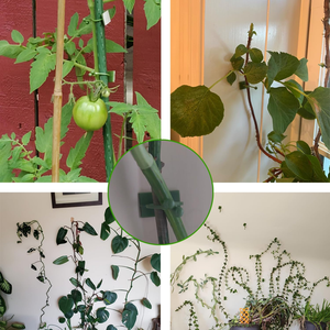 Крепления и крючки для растений – 120 шт. для вьющихся растений и денежных растений, для подвешивания на стену (зеленые) - Product Image 5