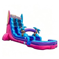 Toboggan aquatique gonflable commercial sur le thème de la plage, grand modèle avec piscine à jets d'eau pour enfants et adultes, location pour événements
