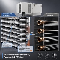 Heißer Verkauf: Luftgekühlte 0,75 PS 220-240V Dachmontage-Monoblock-Verflüssigungseinheit mit Pumpe, 586W, energiesparend für Eiscreme-Kühlhäuser