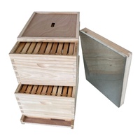 Holz-Bienenstock mit 10 Rähmchen, Langstroth-Bienenstock