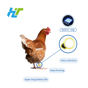 Anillos de pierna con Clip para pájaros, bandas de anillo para pies, nueva condición para pollitos de Paloma, equipo de cría de animales pequeños para aves de corral y pollos - Product Image 3