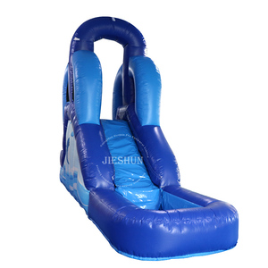 Nhà Máy Bán Buôn Thương Mại Nhỏ Trong Nhà Trẻ Em Inflatable Moonwalk Dolphin Inflatable Trượt Nước Với Hồ Bơi - Product Image 3