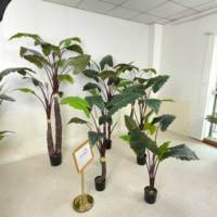 Plante artificielle Calathea Y981, palmier vert italien, plante en pot décorative, vente en gros, décoration d'intérieur, plantes en plastique