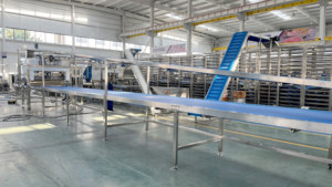 Nueva Máquina Rotativa para <span class=keywords><strong>Galletas</strong></span>, <span class=keywords><strong>Mini</strong></span> Máquina Automática para Moldear <span class=keywords><strong>Galletas</strong></span>, Molde Intercambiable, Alta Productividad, Acero Inoxidable 304 - Product Image 3