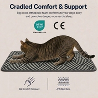 Tapis en velours jacquard Terry, motif gaufré, résistant aux griffures des animaux, antidérapant, lavable, pour salon