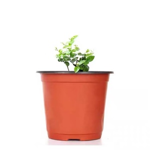 Vente directe d'usine 10 planteur plante <span class=keywords><strong>semis</strong></span> petit 4 pouces pépinière fleuriste <span class=keywords><strong>Pot</strong></span> de fleur en <span class=keywords><strong>plastique</strong></span> - Product Image 5