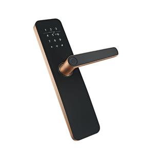 Fngerprint Keyless Smart <strong>Door</strong> Handle Lock Smart Lock Inteligente <strong>Digital</strong> <strong>Door</strong> Lock - Product Image 5