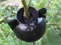 Boîte de propagation réutilisable pour l'assistance à l'enracinement des plantes, fournitures agricoles et de jardinage
