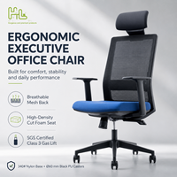 Chaise de bureau ergonomique réglable à dossier haut pivotante, chaise de bureau moderne en maille avec soutien lombaire, chaise de direction en tissu durable