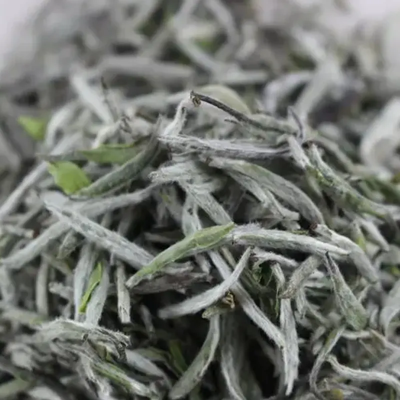 EU alami kualitas tinggi gunung perak jarum teh putih Alpine cina teh putih