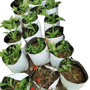 <strong>Best</strong> Seller Durable Reusable Environmentally Friendly White 5-Gallon PE Plastic Biodegradable <strong>Growing</strong> <strong>Bag</strong> - Product Image 6