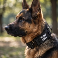 Collier de chien en nylon réglable avec poignée, anti-évasion, personnalisable, vente en gros, accessoires pour animaux de compagnie en vrac
