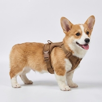 Harnais réglable pour animaux de compagnie, personnalisé, en néoprène souple, système de promenade à clip frontal, anti-traction, pour chiens et chats de petite et grande taille
