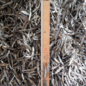 Poisson séché vietnamien, bon prix pour des ANCHOVIES de qualité - Product Image 1