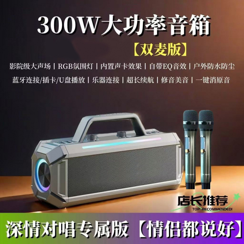 Audio de karaoké extérieur + double microphone