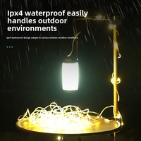 Nouvelle guirlande lumineuse ciel étoilé pour camping et jardin, lanterne LED en cristal rechargeable par USB