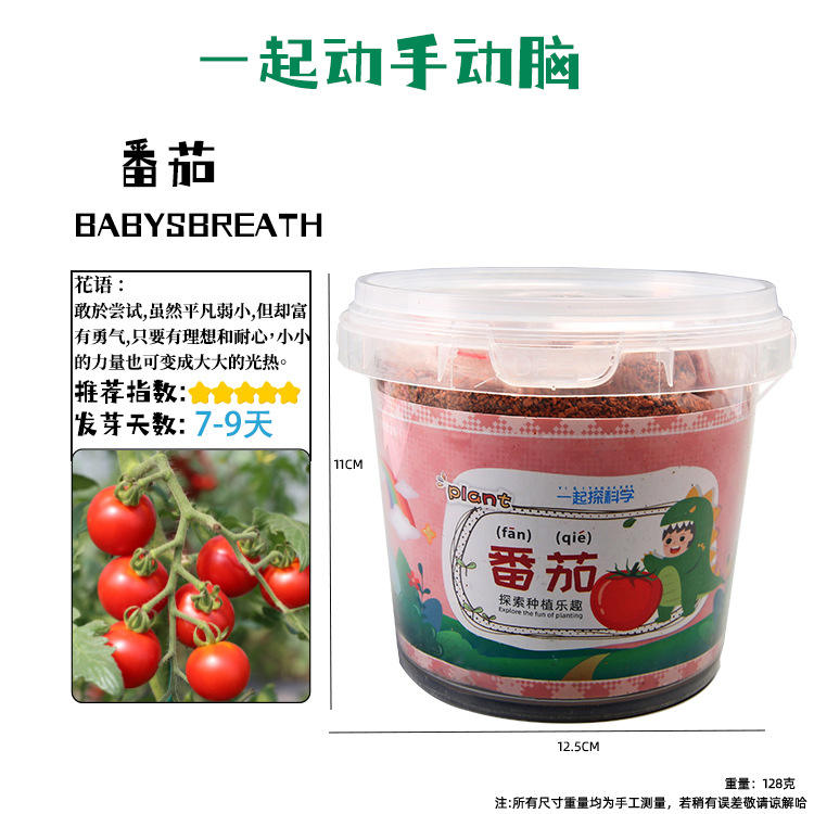 Tomato barrel planting