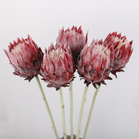 Bunga Sutra Eropa Grosir, Bunga Buatan Single Emperor Flower, Bunga Protea Cynaroides King Protea Putih untuk Dekorasi Pernikahan