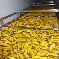 Industriële PLC-gestuurde hoog-efficiënte SUS 304 roestvrijstalen schilmachine voor mango, aardappel en gedroogd fruit, CE Gofun gecertificeerd