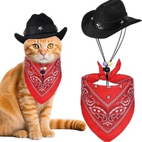 Ensemble chapeau de cowboy et bandana ajustables pour chats et petits chiens, costume western, accessoires pour Halloween et Noël