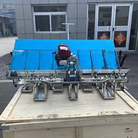 Planteuse de riz manuelle commerciale à 6 rangs à moteur essence et transplanteuse de riz à 8 rangs à moteur diesel