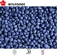 Oem/Odm Hoge Kwaliteit Hot Sell China Fabriek Bevroren Fruit Voedsel Voor Groothandel En Retail Iqf Bevroren Bosbessen Hele Haccp Brc