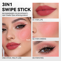Mini Rouge à Lèvres en Capsule Tube Argenté Imperméable Longue Tenue Hydratant Haute Pigmentation Fini Velours Mat Maquillage des Lèvres en Gros Vitamine