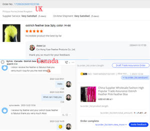 2 plis <span class=keywords><strong>Rose</strong></span> Écharpe Plume d'autruche <span class=keywords><strong>Boa</strong></span> pour Femmes Home Party Mariage Xmas Decor DIY Craft Clothing Costume Dance Dress Accecssory - Product Image 6