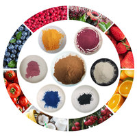 Voedzaam Wild Food Grade 100% Pure Zwarte Bes Fruit Extract Goed In Water Oplosbaar In Trommel & Plastic Container