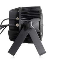 Nouveau projecteur LED PAR RGBW 165W IP65 étanche 2024 pour l'aménagement paysager extérieur avec contrôle DMX512 et CRI élevé 90