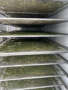 Té de hierbas vietnamita al por mayor para limpieza corporal: mezcla de apio, hoja de loto y jengibre en bolsitas de té de la marca NMPT - Product Image 4