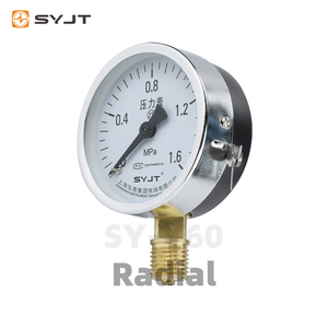 Manómetro de Presión de Combustible de Acero Inoxidable SS304 de Alta Presión SYJT SY-<span class=keywords><strong>Y</strong></span>, 60MPa, NPT1/4, Tipo Rosca, Lleno de Líquido, Absorbente de Impactos, Precisión del 1.6% - Product Image 1