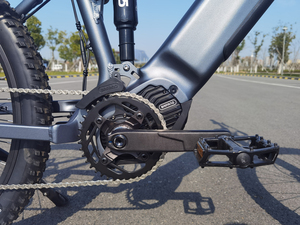 Vente directe d'usine à prix réduit : Vélo Cruiser Freedom-L pour adulte avec moteur central 500W 48V et freins à disque hydrauliques - Product Image 4