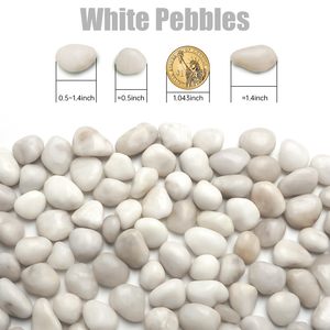RooTrimmer 5 libbre ciottoli <span class=keywords><strong>bianchi</strong></span> lucidati-0.4-1.2 "rocce Decorative per piante, giardino, acquario e riempitivo per <span class=keywords><strong>vasi</strong></span> - Product Image 3