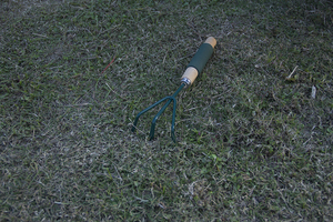 Offre Spéciale manche en <span class=keywords><strong>bois</strong></span> jardin ferme cultivateur truelle outils outils de jardin truelle à main pinces et <span class=keywords><strong>pelle</strong></span> - Product Image 6