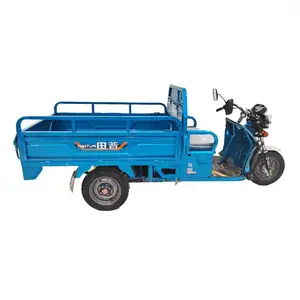 Factory Price Three Wheeler Tricycle Cargo Electric Wheel Motorcycle Trike Triciclo