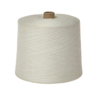 Benang Jahit Kaos Berkualitas Tinggi China 2025 Terbaru 100% Polyester Core Spun Anti-Pilling Anti-Bakteri 30/1 AA