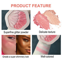 Poudre illuminatrice minérale naturelle en gros, teint clair, visage, corps, brillance, illuminateur bicolore, palette de maquillage, blush